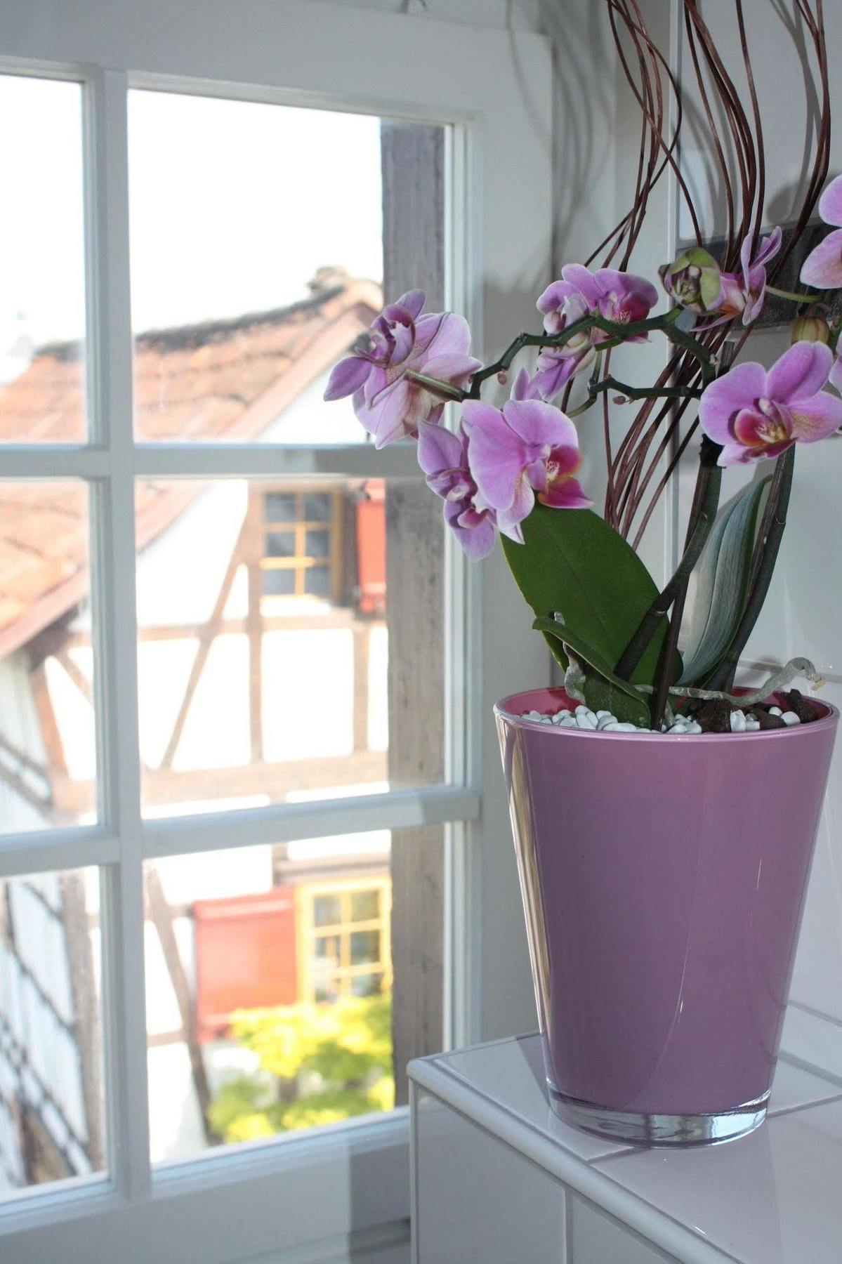 Hotel De Charme Roemerhof